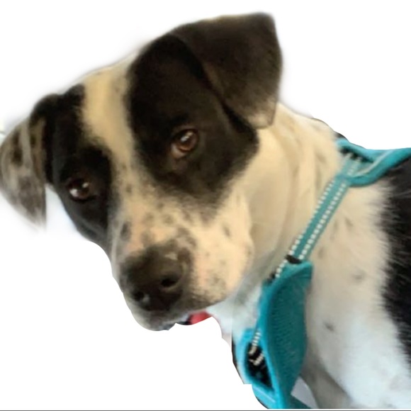 Meet your Posher, Jenna - Picture 1 of 1